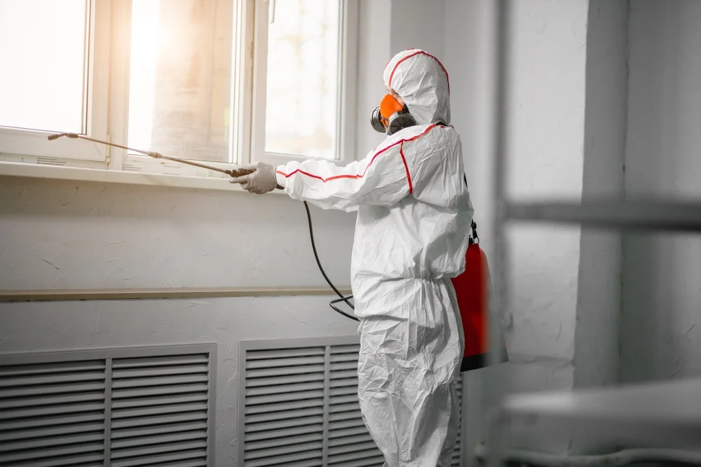 Professional mold remediation services in Gautier, MS